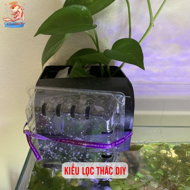 Cách Làm Lọc Tự Chế Cho Hồ Cá: Rẻ & Hiệu Quả Nhất 4 Kiểu lọc thác DIY