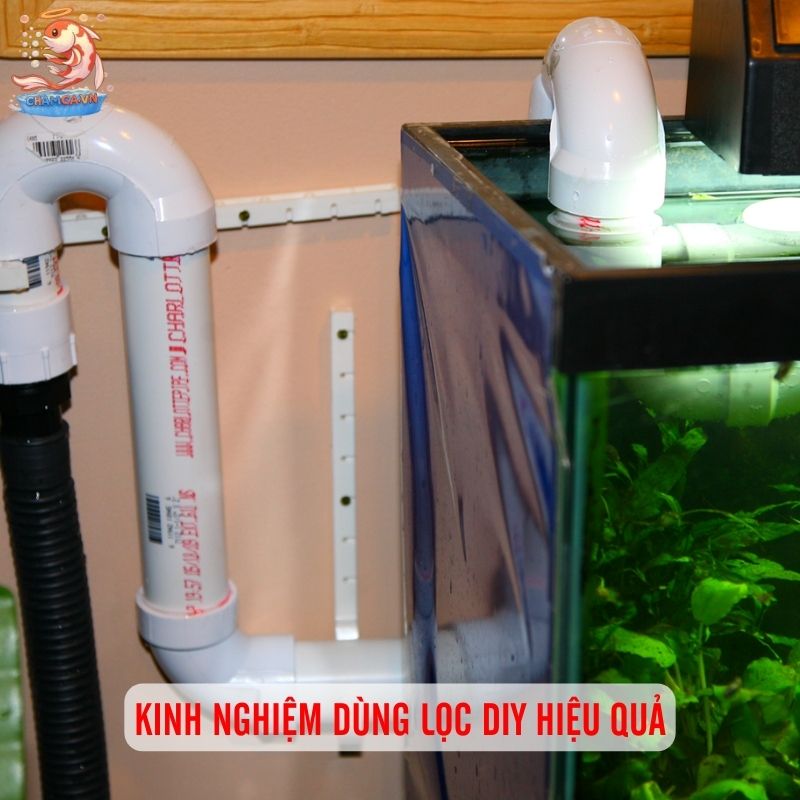 Cách Làm Lọc Tự Chế Cho Hồ Cá: Rẻ & Hiệu Quả Nhất 5 Kinh nghiệm dùng lọc DIY hiệu quả