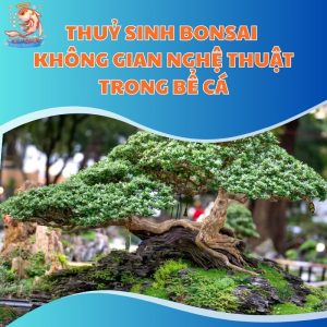 Thuỷ Sinh Bonsai - Không Gian Nghệ Thuật Trong Bể Cá