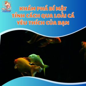Khám Phá Bí Mật Tính Cách Qua Loài Cá Yêu Thích Của Bạn