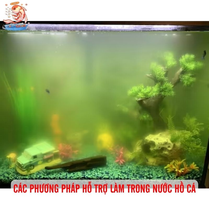 Cách Xử Lý Hồ Cá Bị Đục Nước - Giữ Hồ Luôn Trong Sạch 3 Các phương pháp hỗ trợ làm trong nước hồ cá