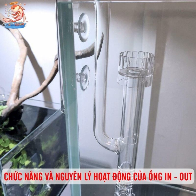 Bố Trí Ống In - Out Hồ Thuỷ Sinh Để Nước Trong & Cây Khoẻ 1 Chức năng và nguyên lý hoạt động của ống in - out