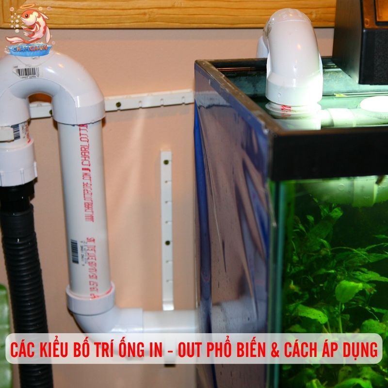 Bố Trí Ống In - Out Hồ Thuỷ Sinh Để Nước Trong & Cây Khoẻ 2 Các kiểu bố trí ống in - out phổ biến và cách áp dụng