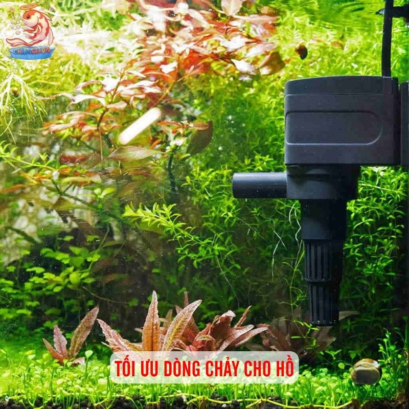 Bố Trí Ống In - Out Hồ Thuỷ Sinh Để Nước Trong & Cây Khoẻ 3 Tối ưu dòng chảy cho hồ