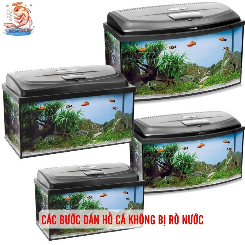 Hướng Dẫn Cách Dán Hồ Cá Không Bị Rò Nước Siêu Dễ 2 Dụng cụ chuẩn bị trước khi dán