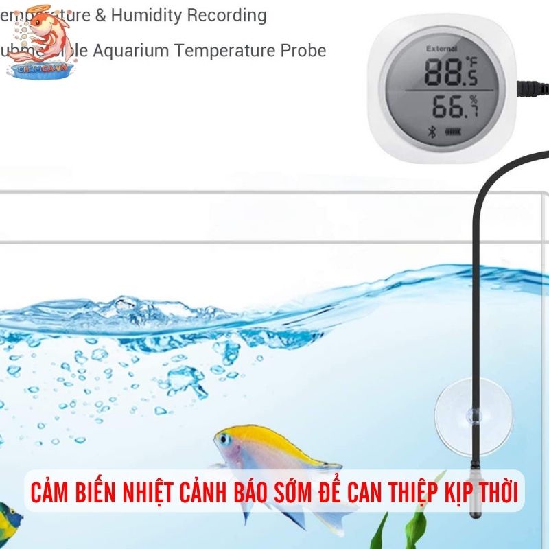 Cảm Biến Nhiệt Hồ Cá & Vai Trò Cân Bằng Hệ Sinh Thái 1 Cảm biến nhiệt cảnh báo sớm để can thiệp kịp thời