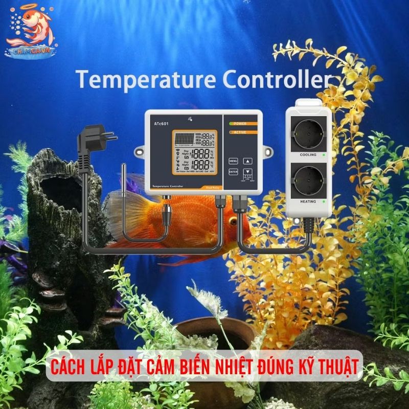 Cảm Biến Nhiệt Hồ Cá & Vai Trò Cân Bằng Hệ Sinh Thái 3 Cách lắp đặt cảm biến nhiệt đúng kỹ thuật