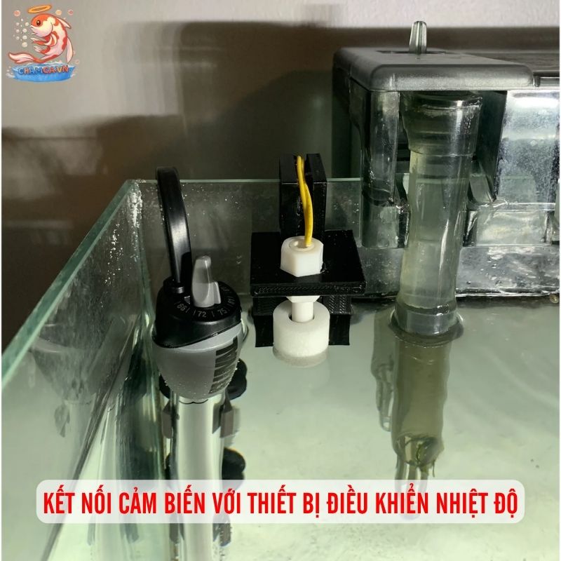 Cảm Biến Nhiệt Hồ Cá & Vai Trò Cân Bằng Hệ Sinh Thái 4 Kết nối cảm biến với thiết bị điều khiển nhiệt độ