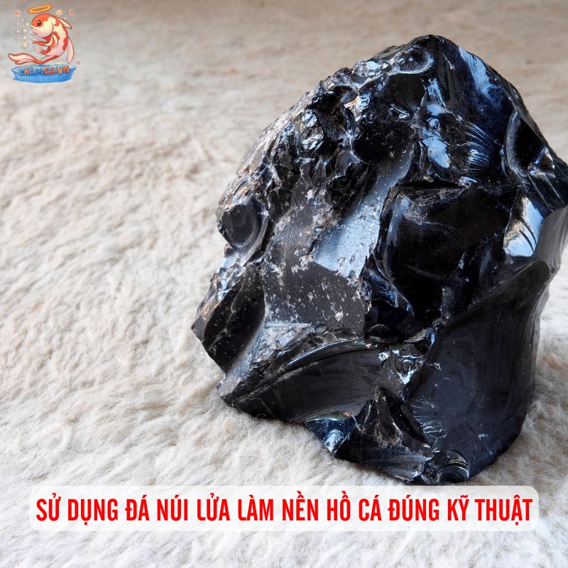 Đá Núi Lửa Làm Nền Hồ Cá - Bí Quyết Tạo Môi Trường Sạch 3 Cách sử dụng đá núi lửa làm nền hồ cá đúng kỹ thuật