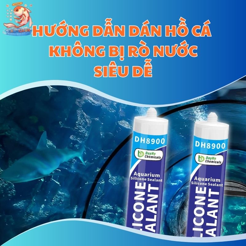 Hướng Dẫn Cách Dán Hồ Cá Không Bị Rò Nước Siêu Dễ