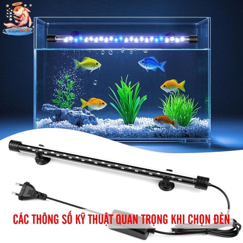 Đèn RGB Hay WRGB Cho Hồ Thủy Sinh Tối Ưu Nhất Cho Người Mới 5 Các thông số kỹ thuật quan trọng khi chọn đèn
