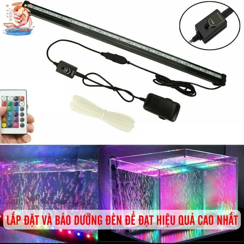 Đèn RGB Hay WRGB Cho Hồ Thủy Sinh Tối Ưu Nhất Cho Người Mới 6 Lắp đặt và bảo dưỡng đèn để đạt hiệu quả cao nhất