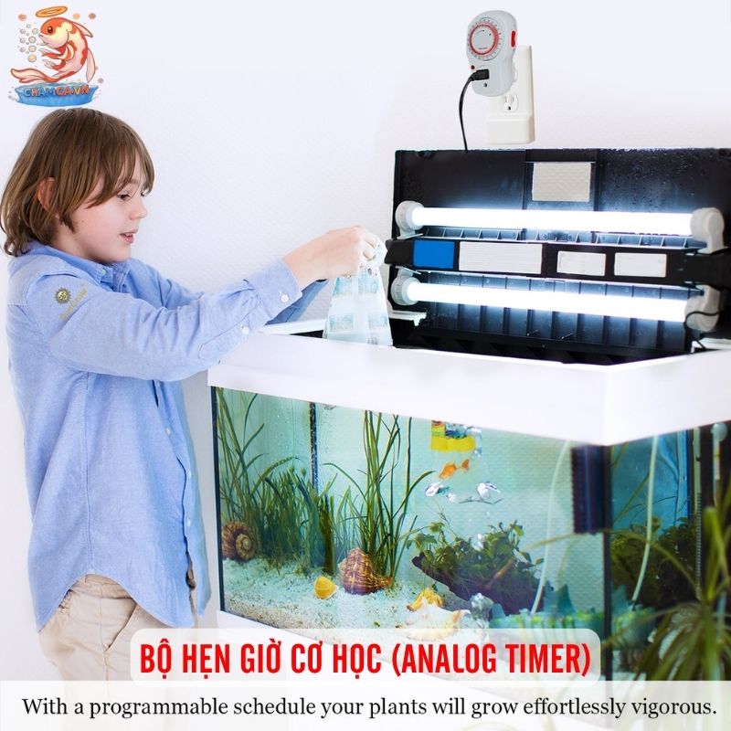 Bộ Hẹn Giờ Tự Động Cho Đèn Hồ Cá Và Setup Đúng Cách 3 Bộ hẹn giờ cơ học (Analog Timer)
