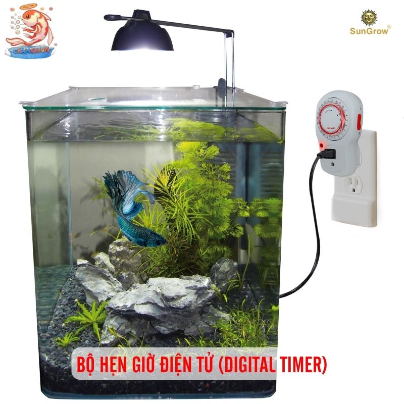 Bộ Hẹn Giờ Tự Động Cho Đèn Hồ Cá Và Setup Đúng Cách 4 Bộ hẹn giờ điện tử (Digital Timer)