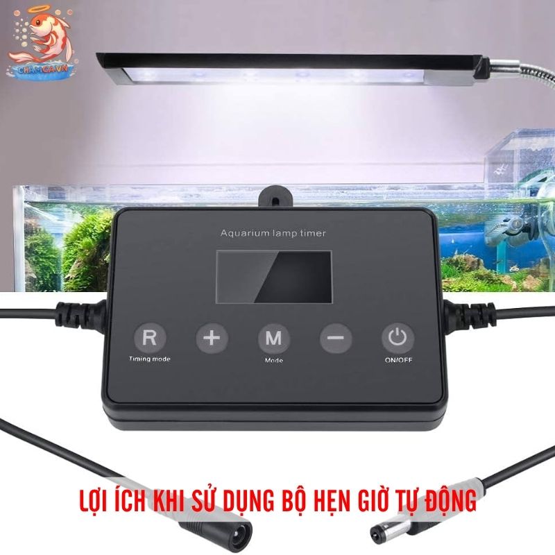 Bộ Hẹn Giờ Tự Động Cho Đèn Hồ Cá Và Setup Đúng Cách 5 Lợi ích khi sử dụng bộ hẹn giờ tự động