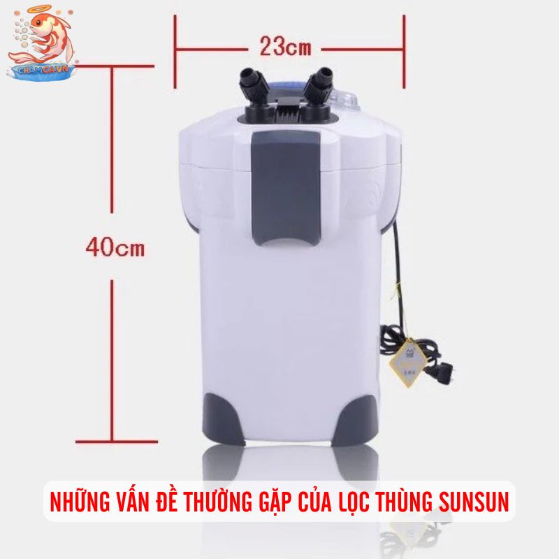 Lọc Thùng Sunsun Có Tốt Không? Đánh Giá Ưu Nhược Điểm 3 Những vấn đề thường gặp của lọc thùng sunsun
