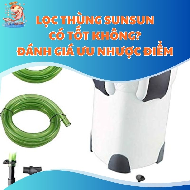 Lọc Thùng Sunsun Có Tốt Không? Đánh Giá Ưu Nhược Điểm Lọc Thùng Sunsun Có Tốt Không? Đánh Giá Ưu Nhược Điểm