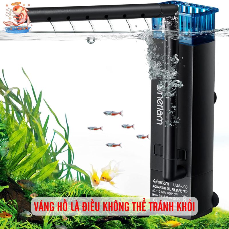 Lọc Váng Hồ Thuỷ Sinh Cho Nước Trong & Oxy Ổn Định 1 Váng hồ là điều không thể tránh khỏi