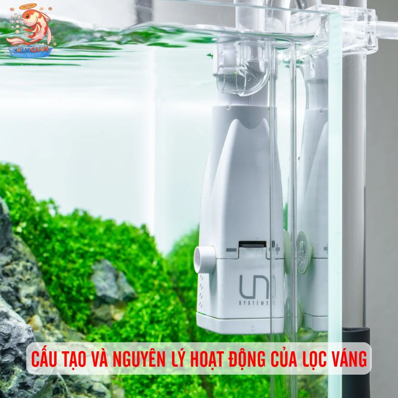 Lọc Váng Hồ Thuỷ Sinh Cho Nước Trong & Oxy Ổn Định 2 Cấu tạo và nguyên lý hoạt động của lọc váng