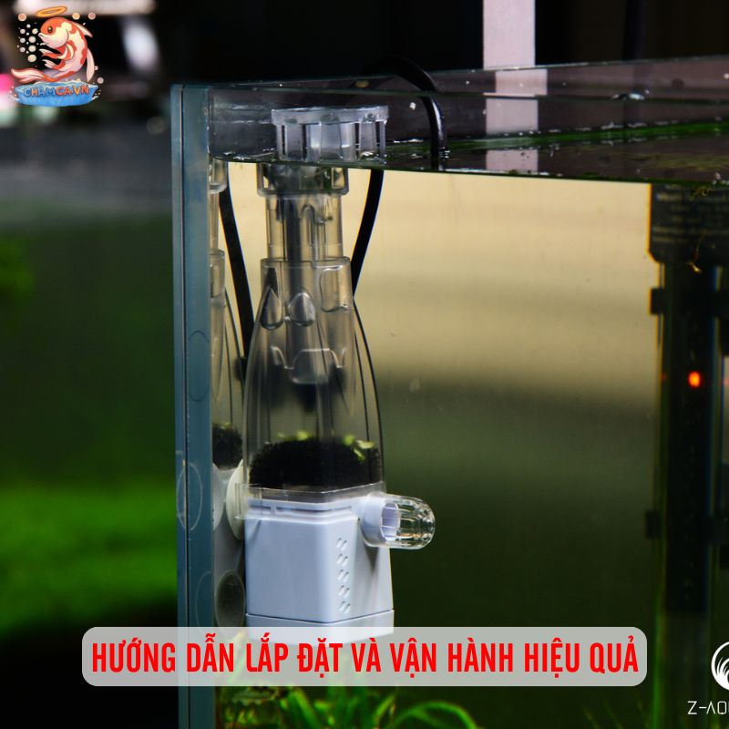 Lọc Váng Hồ Thuỷ Sinh Cho Nước Trong & Oxy Ổn Định 4 Hướng dẫn lắp đặt và vận hành hiệu quả