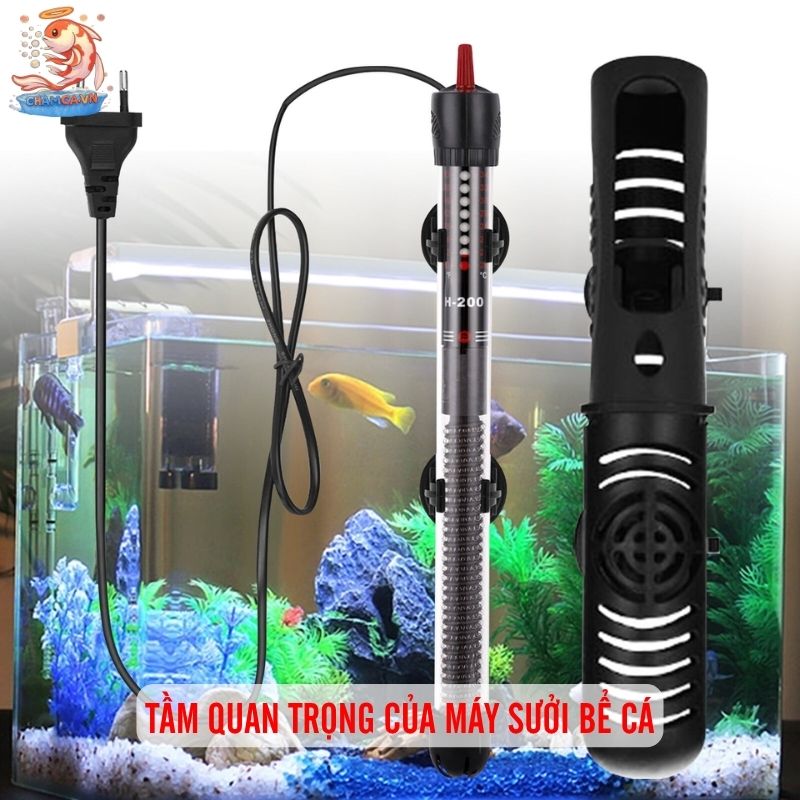 Máy Sưởi Bể Cá An Toàn - Bí Quyết Giữ Nhiệt Độ Hồ Ổn Định 1 Tầm quan trọng của máy sưởi bể cá