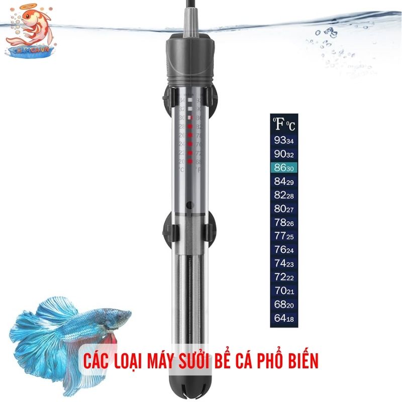 Máy Sưởi Bể Cá An Toàn - Bí Quyết Giữ Nhiệt Độ Hồ Ổn Định 2 Các loại máy sưởi bể cá phổ biến
