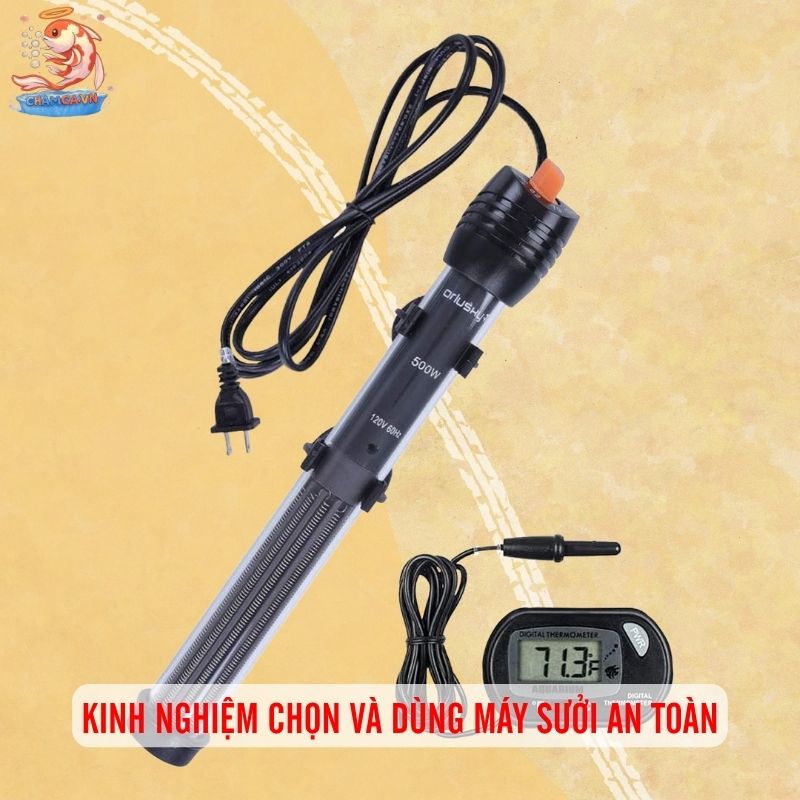 Máy Sưởi Bể Cá An Toàn - Bí Quyết Giữ Nhiệt Độ Hồ Ổn Định 5 Kinh nghiệm chọn và dùng máy sưởi an toàn