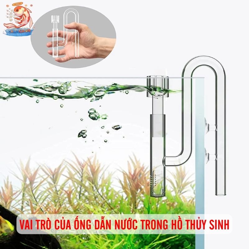 Ống Dẫn Nước Trong Setup Hồ Thủy Sinh Và Cách Lắp Đặt Chuẩn 1 Vai trò của ống dẫn nước trong hồ thủy sinh