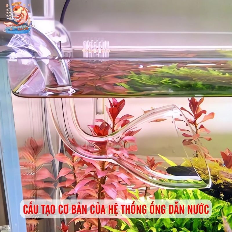 Ống Dẫn Nước Trong Setup Hồ Thủy Sinh Và Cách Lắp Đặt Chuẩn 2 Cấu tạo cơ bản của hệ thống ống dẫn nước