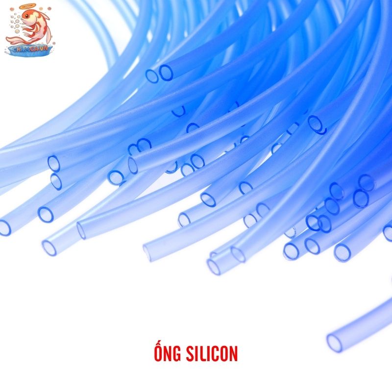 Ống Dẫn Nước Trong Setup Hồ Thủy Sinh Và Cách Lắp Đặt Chuẩn 4 Ống silicon