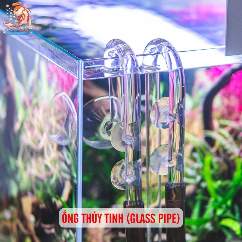 Ống Dẫn Nước Trong Setup Hồ Thủy Sinh Và Cách Lắp Đặt Chuẩn 5 Ống thủy tinh (Glass Pipe)