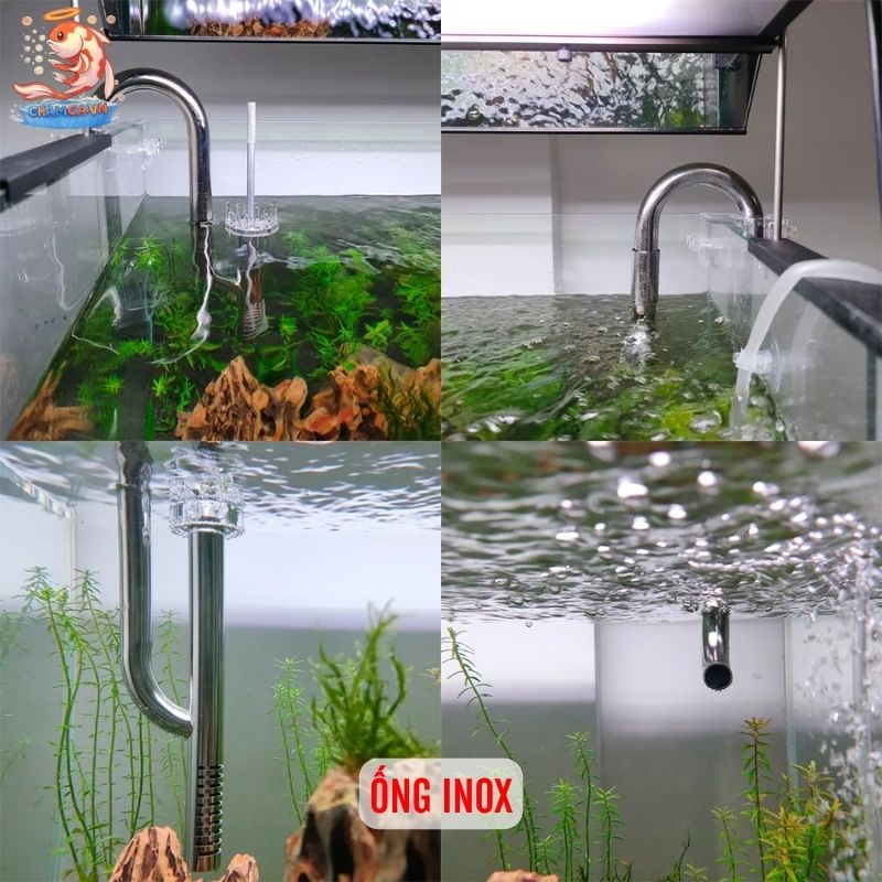 Ống Dẫn Nước Trong Setup Hồ Thủy Sinh Và Cách Lắp Đặt Chuẩn 6 Ống inox