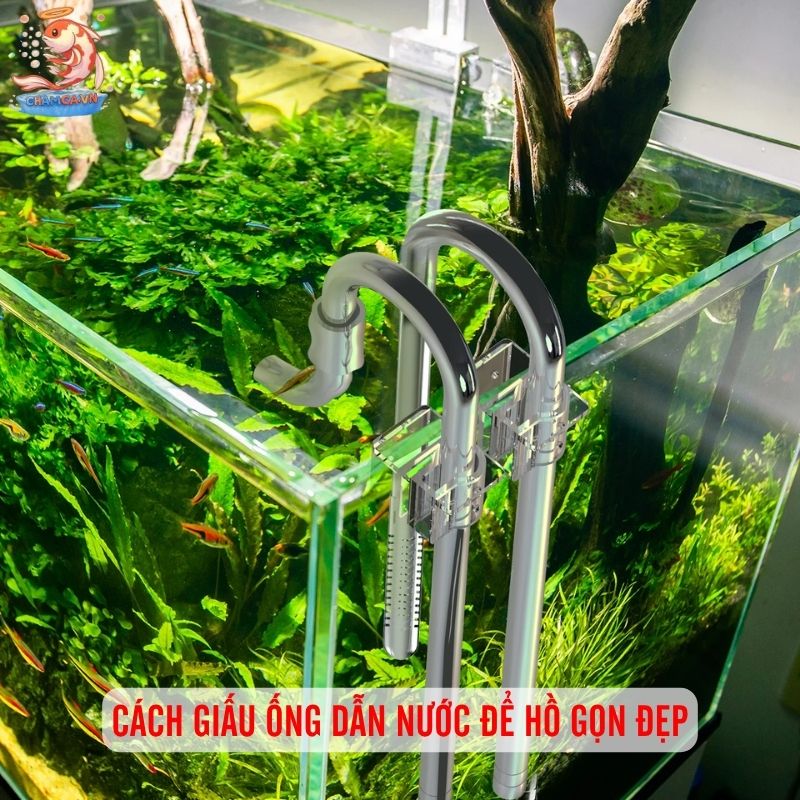 Ống Dẫn Nước Trong Setup Hồ Thủy Sinh Và Cách Lắp Đặt Chuẩn 8 Cách giấu ống dẫn nước để hồ gọn đẹp