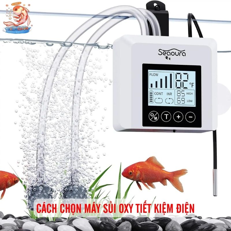 Hệ Thống Oxy Hồ Cá Tiết Kiệm Điện Và Cách Setup Hiệu Quả 2 Cách chọn máy sủi oxy tiết kiệm điện