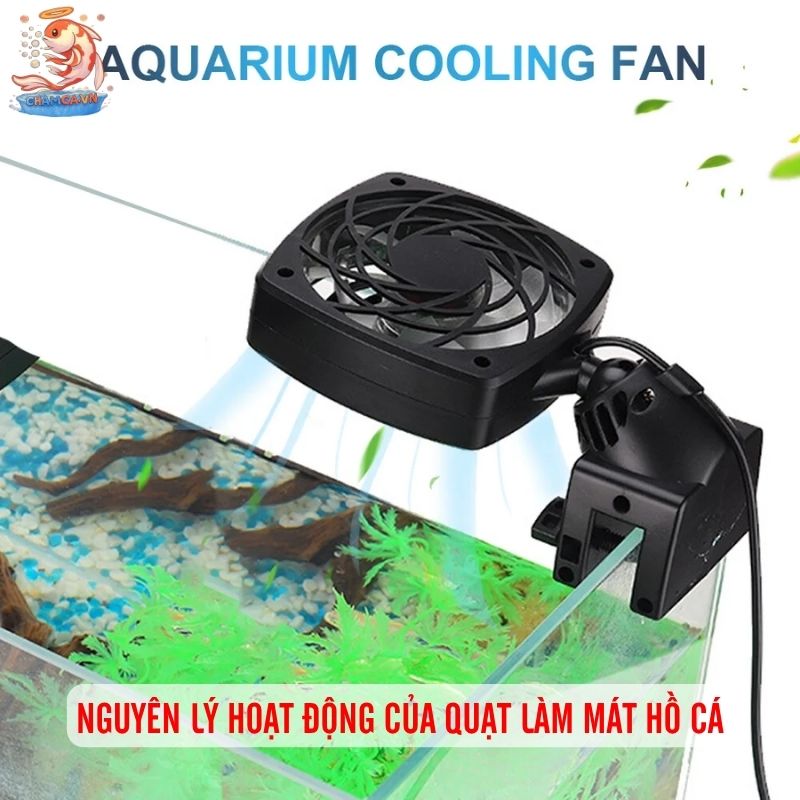 Quạt Làm Mát Hồ Thủy Sinh Để Kiểm Soát Nhiệt An Toàn Nhất 2 Nguyên lý hoạt động của quạt làm mát hồ cá