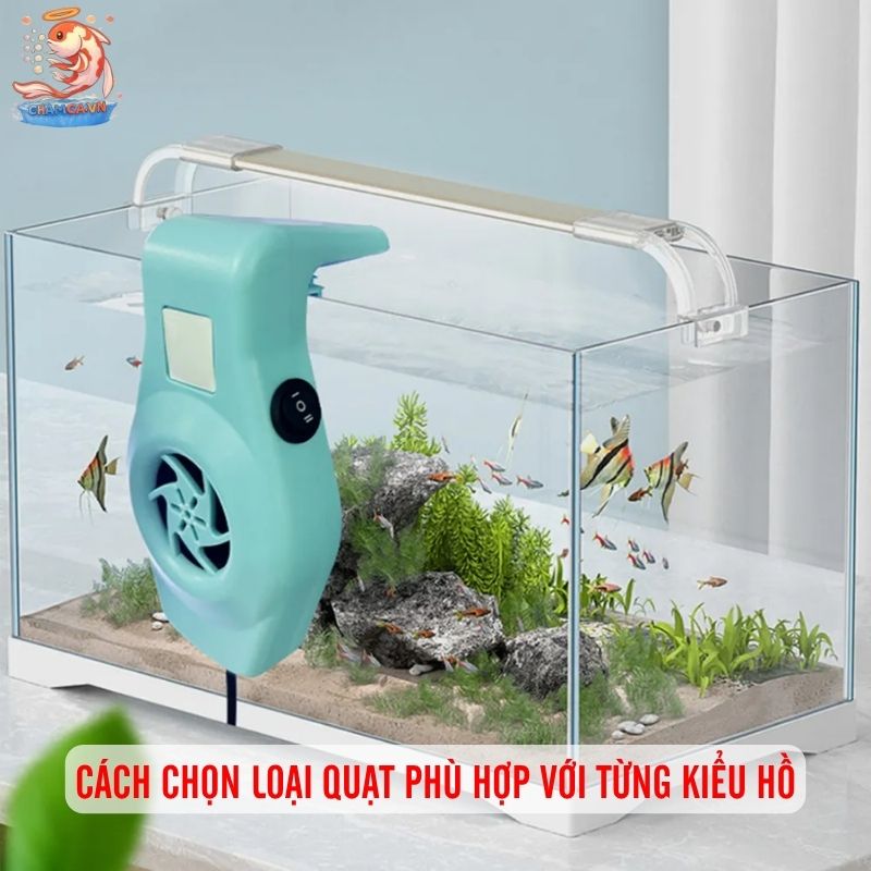 Quạt Làm Mát Hồ Thủy Sinh Để Kiểm Soát Nhiệt An Toàn Nhất 3 Cách chọn loại quạt phù hợp với từng kiểu hồ