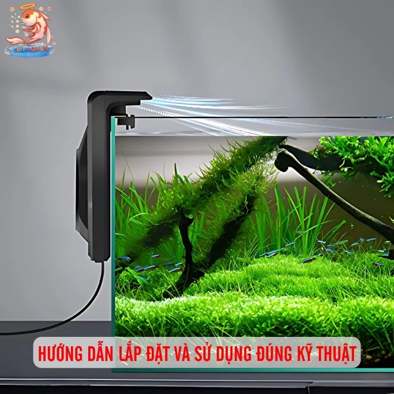 Quạt Làm Mát Hồ Thủy Sinh Để Kiểm Soát Nhiệt An Toàn Nhất 4 Hướng dẫn lắp đặt và sử dụng đúng kỹ thuật