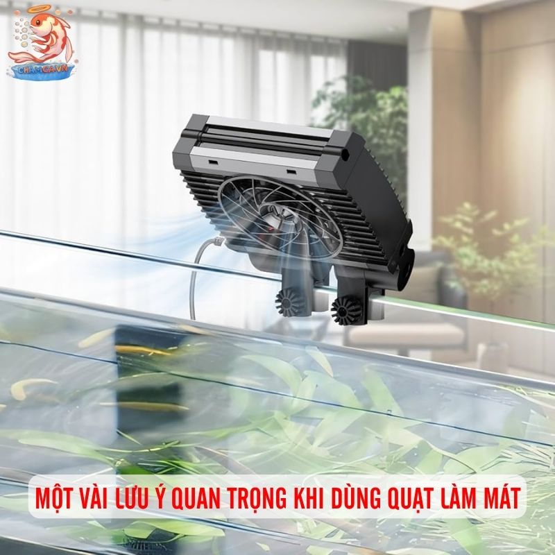 Quạt Làm Mát Hồ Thủy Sinh Để Kiểm Soát Nhiệt An Toàn Nhất 5 Một vài lưu ý quan trọng khi dùng quạt làm mát