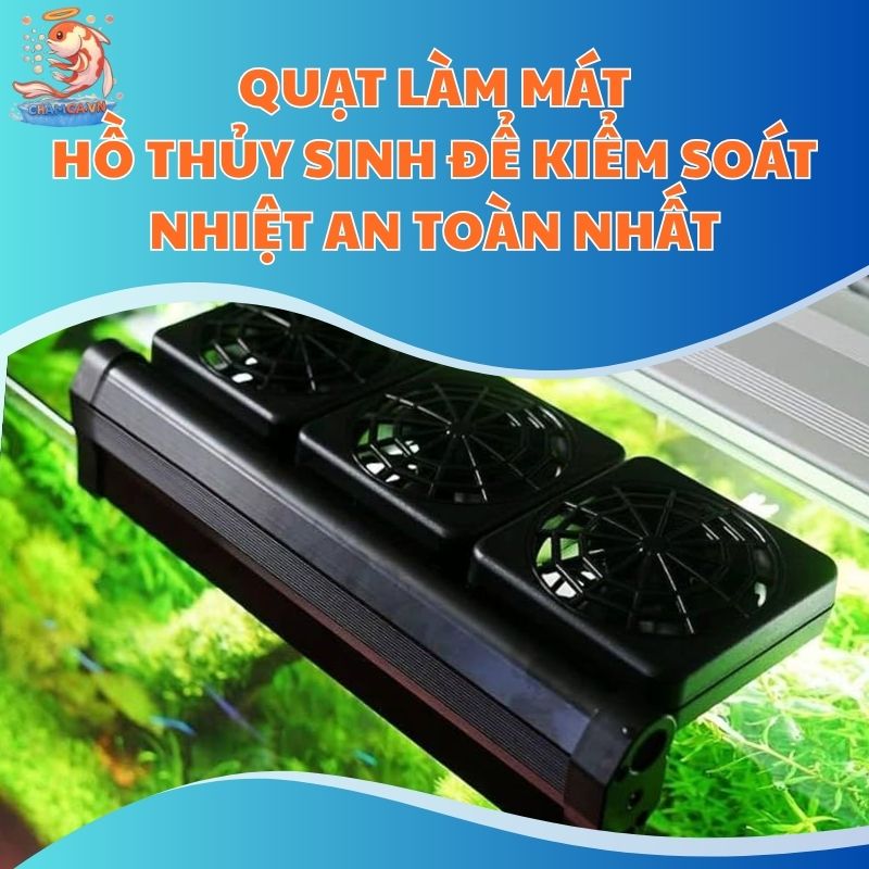 Quạt Làm Mát Hồ Thủy Sinh Để Kiểm Soát Nhiệt An Toàn Nhất