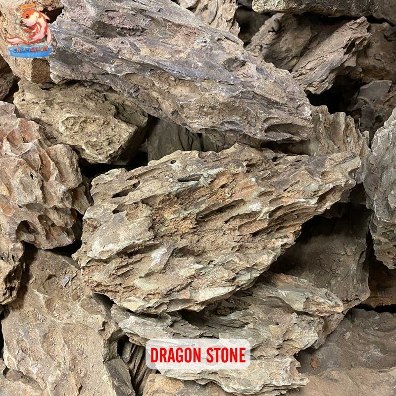 Trang Trí Hồ Cá Bằng Đá Tự Nhiên & Gợi Ý Layout Đẹp 2 Dragon stone (Ohko stone)