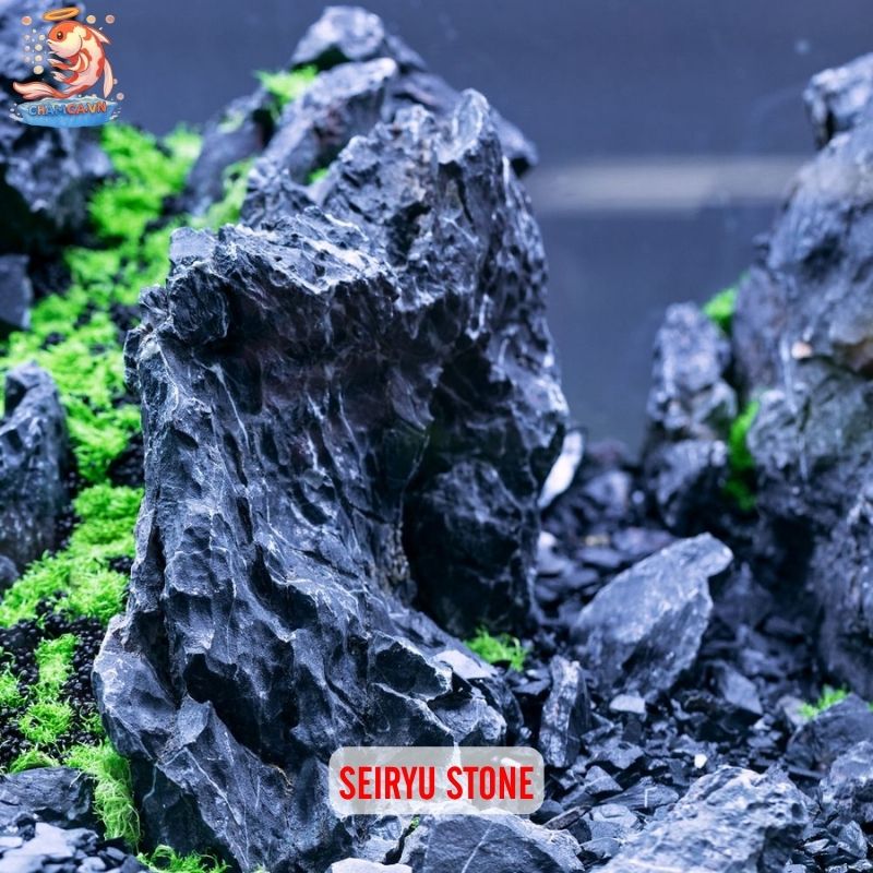 Trang Trí Hồ Cá Bằng Đá Tự Nhiên & Gợi Ý Layout Đẹp 3 Seiryu stone