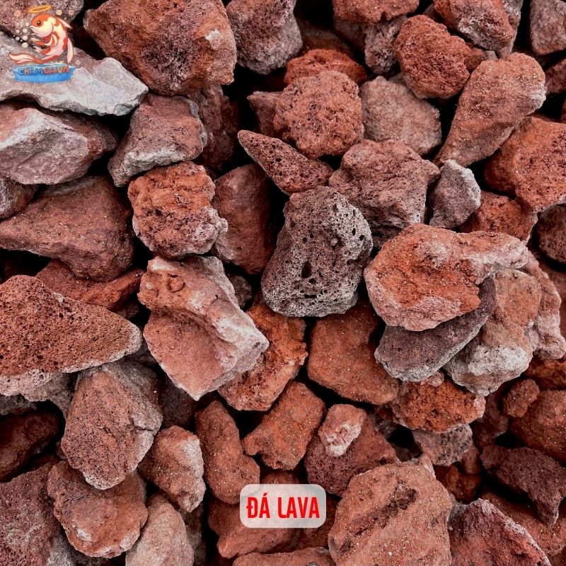 Trang Trí Hồ Cá Bằng Đá Tự Nhiên & Gợi Ý Layout Đẹp 5 Đá núi lửa (lava rock)