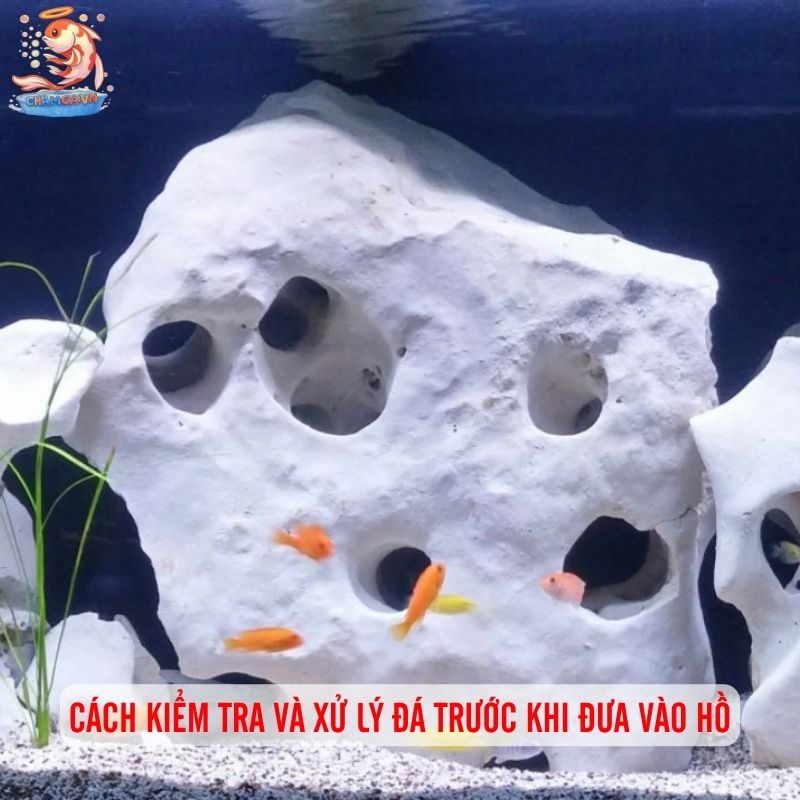 Trang Trí Hồ Cá Bằng Đá Tự Nhiên & Gợi Ý Layout Đẹp 6 Kỹ thuật bố cục và cân bằng trong hồ