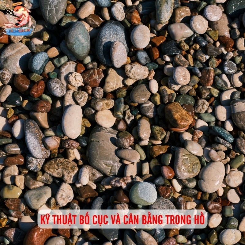 Trang Trí Hồ Cá Bằng Đá Tự Nhiên & Gợi Ý Layout Đẹp 7 Ảnh hưởng dài hạn và bảo trì hồ có đá tự nhiên